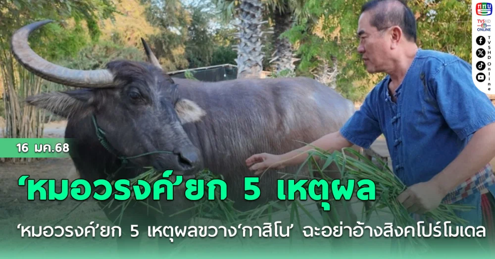 ‘หมอวรงค์’ยก 5 เหตุผลขวาง‘กาสิโน’ ฉะอย่าอ้างสิงคโปร์โมเดล