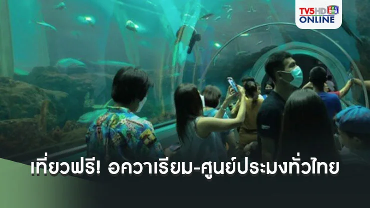 กรมประมง เปิดเที่ยวฟรี! อควาเรียม-ศูนย์ประมง ทั่วไทย 28 ธันวา 67-1 มกรา 68