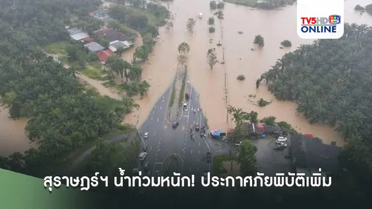 สุราษฎร์ฯ น้ำท่วมหนัก! ประกาศภัยพิบัติเพิ่มเป็น 8 อำเภอ