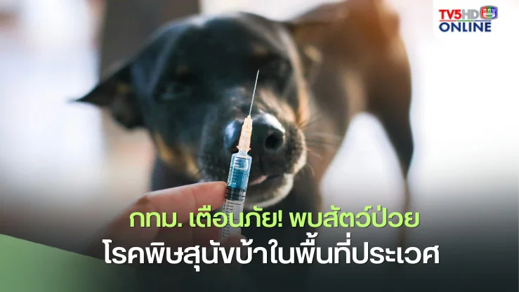 ประเวศ พบสัตว์ป่วยพิษสุนัขบ้า