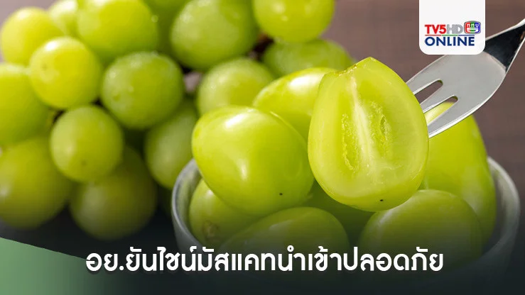 อย.ยันไชน์มัสแคทนำเข้าปลอดภัย