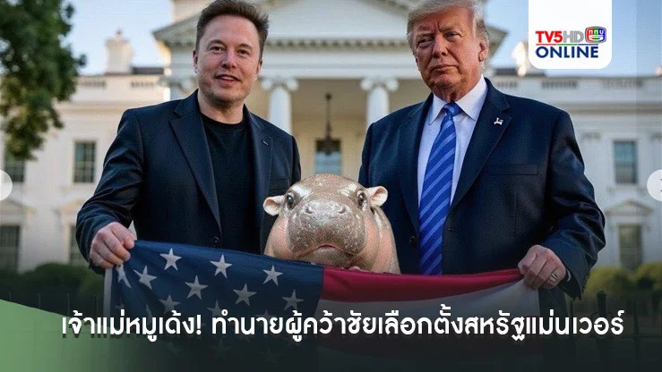 เจ้าแม่หมูเด้ง! ทำนายผู้คว้าชัยเลือกตั้งสหรัฐแม่นเวอร์ สื่อนอกแซวสนั่น'เด้งลูกสาวทรัมป์'