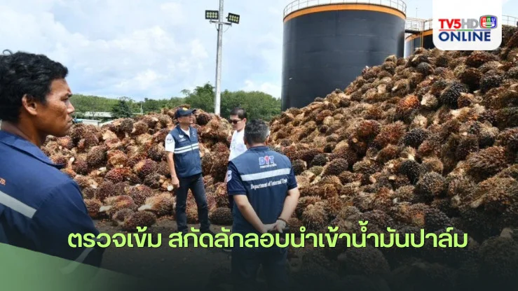 ตรวจเข้ม สกัดลักลอบนำเข้าน้ำมันปาล์ม