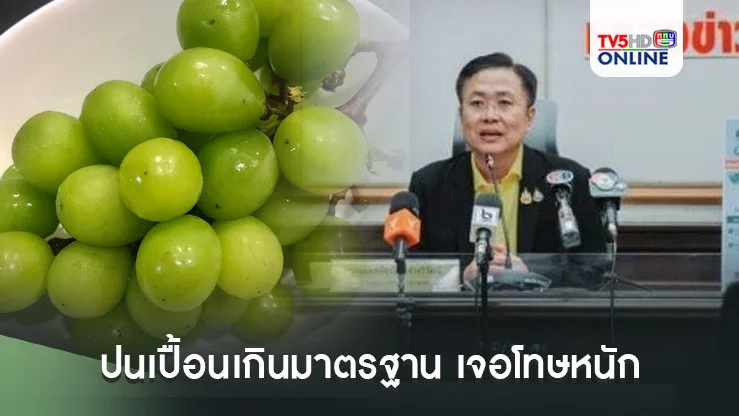 องุ่นไชน์มัสแคท ปนเปื้อนเกินมาตรฐาน เจอโทษหนัก 