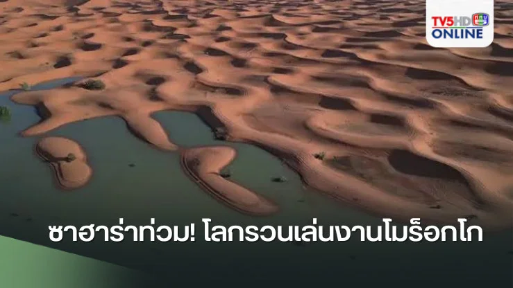 ซาฮาร่าท่วม! โลกรวนเล่นงานโมร็อกโก
