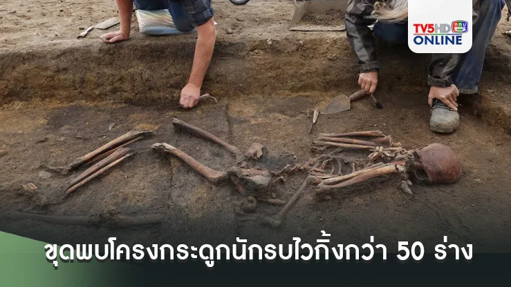 ขุดพบโครงกระดูกนับรบไวกิ้งกว่า 50 ร่าง ในเดนมาร์ก สภาพสมบูรณ์แบบ