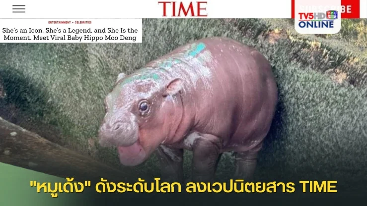 "หมูเด้ง" ดังระดับโลก ลงเวปนิตยสาร TIME
