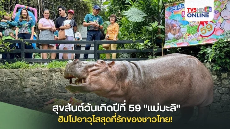 สุขสันต์วันเกิดปีที่ 59 "แม่มะลิ" ฮิปโปอาวุโสสุดที่รักของชาวไทย!
