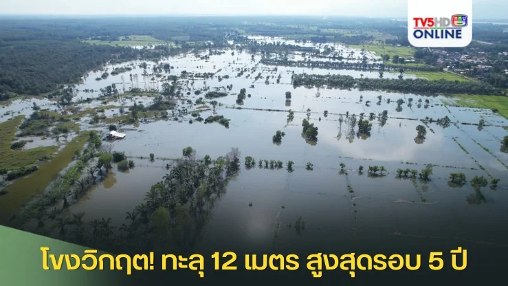 น้ำโขงวิกฤต! ทะลุ 12 เมตร สูงสุดรอบ 5 ปี