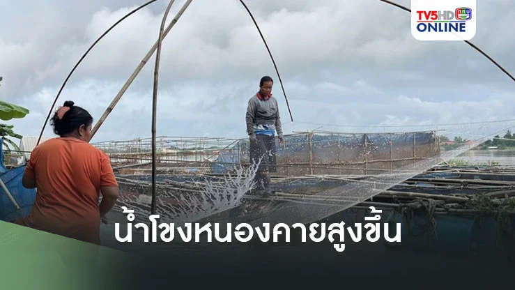 น้ำโขงหนองคายสูงขึ้น เตือนผู้เลี้ยงปลากระชังระวังหลุด