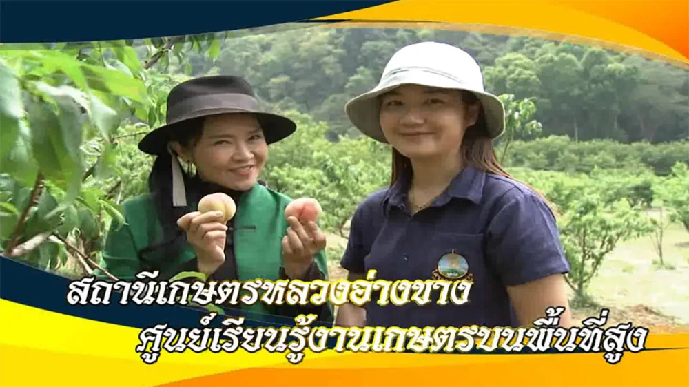 ใต้ร่มพระบารมี เฉลิมพระเกียรติ มหามงคลเฉลิมพระชนมพรรษา6รอบ 2567 วันเสาร์ที่27 มกราคม 2567