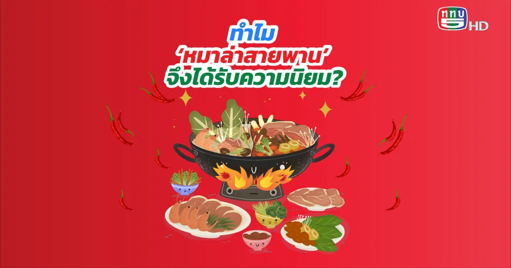 ชาบูหม่าล่า ฟีเวอร์ ทำไม ‘หมาล่าสายพาน’จึงได้รับความนิยม?
