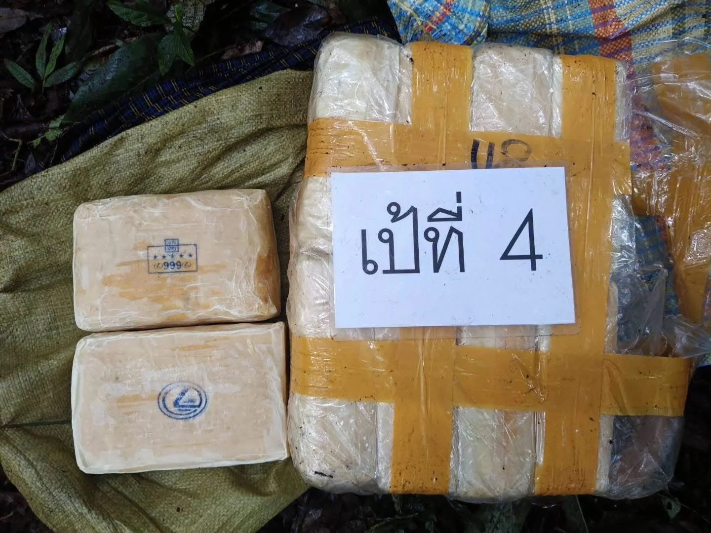 รูปภาพบทความ