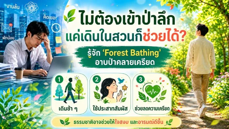 ไม่ต้องเข้าป่าลึก แค่เดินในสวนก็ช่วยได้? รู้จัก “Forest Bathing” อาบป่าคลายเครียด