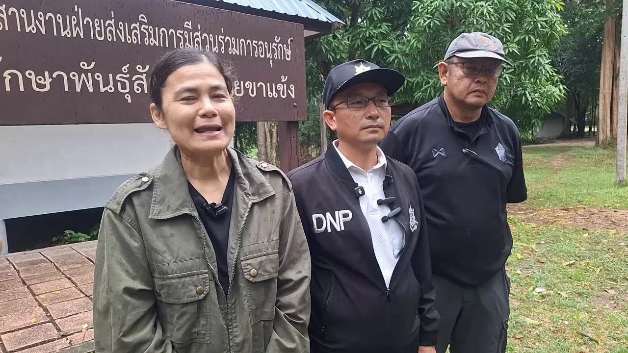 รูปภาพบทความ