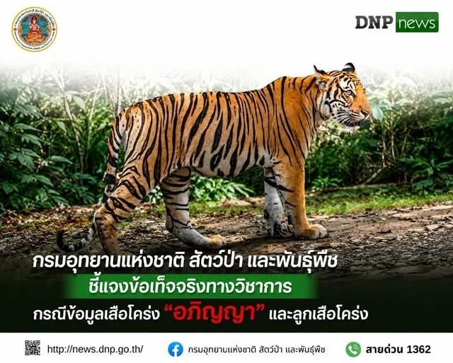 รูปภาพบทความ