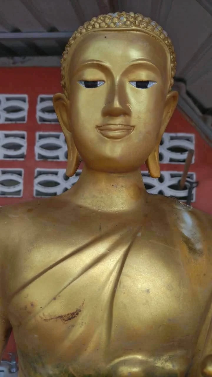 รูปภาพบทความ