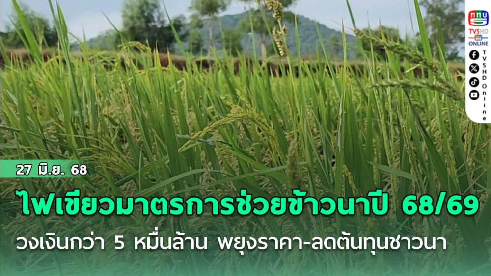 นบข. ไฟเขียว 4 มาตรการช่วยข้าวนาปี 68/69 วงเงินกว่า 5 หมื่นล้าน พยุงราคา-ลดต้นทุนชาวนา