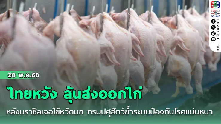 ไทยหวัง ลุ้นส่งออกไก่หลังบราซิลเจอไข้หวัดนก กรมปศุสัตว์ย้ำระบบป้องกันโรคแน่นหนา"